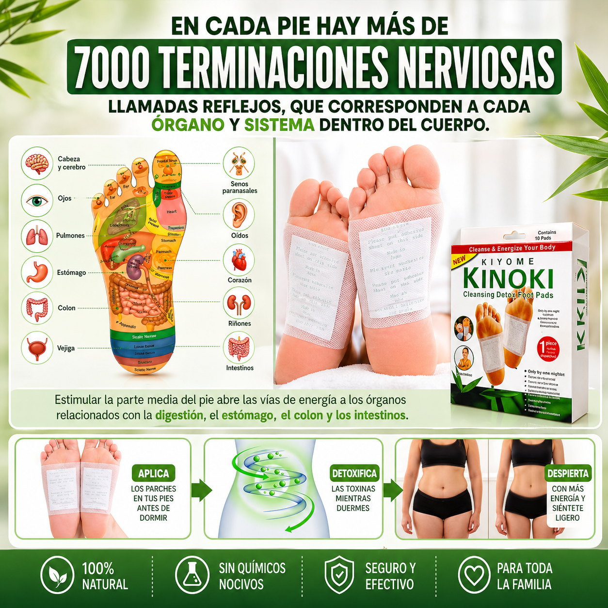 Parches Desintoxicantes KINOKI-DETOX™
