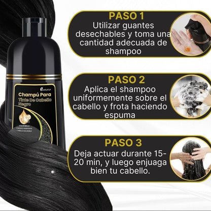 Shampoo Tinte Negro Para Canas BLACK HAIR