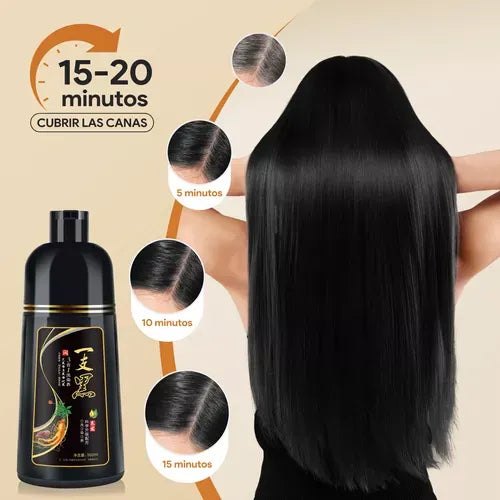 Shampoo Tinte Negro Para Canas BLACK HAIR