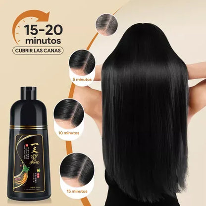 Shampoo Tinte Negro Para Canas BLACK HAIR