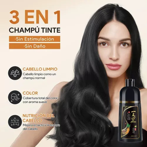 Shampoo Tinte Negro Para Canas BLACK HAIR